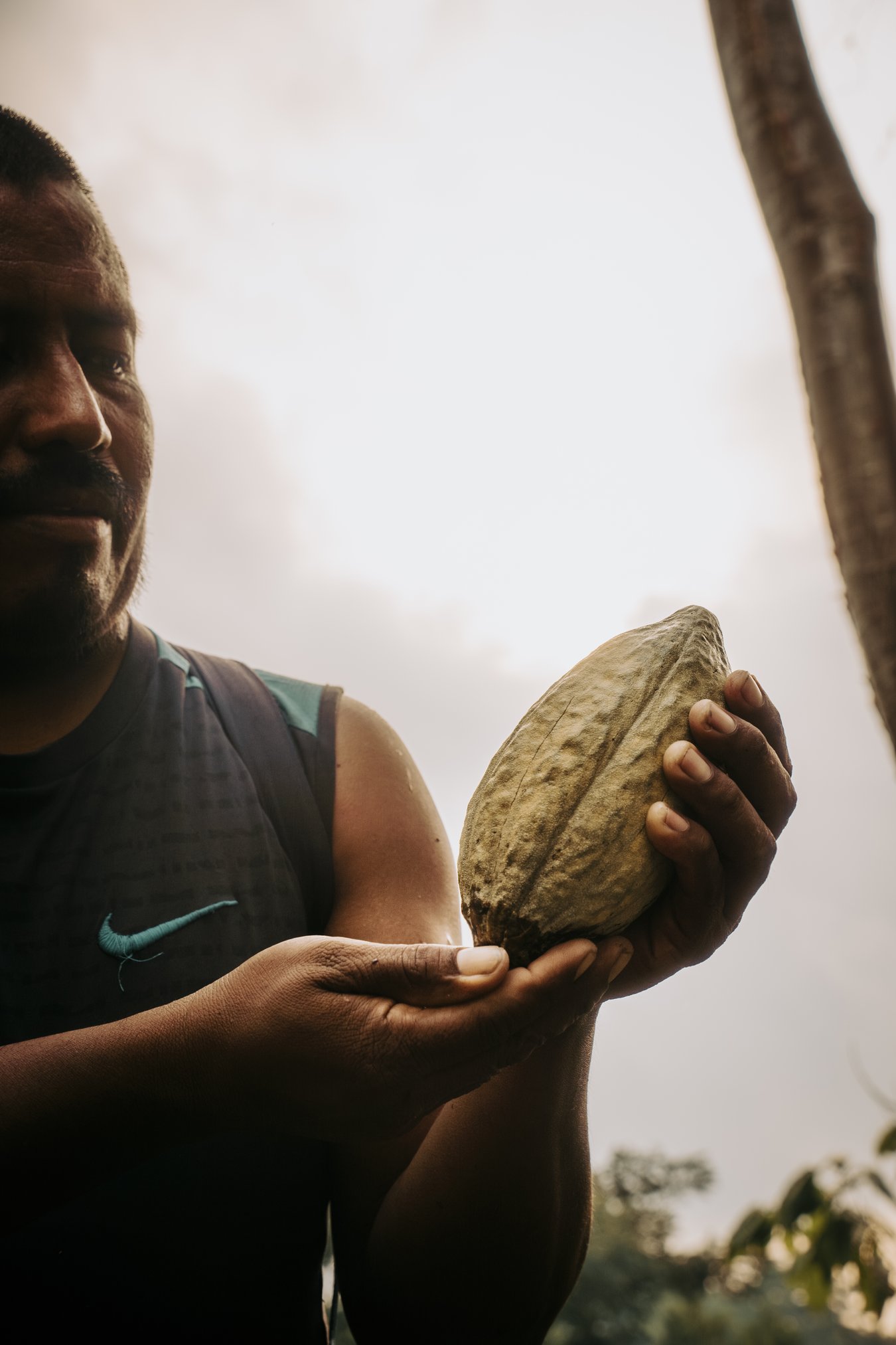 Byron, head of our cacao collective, examining a freshly harvested cacao pod against the sky