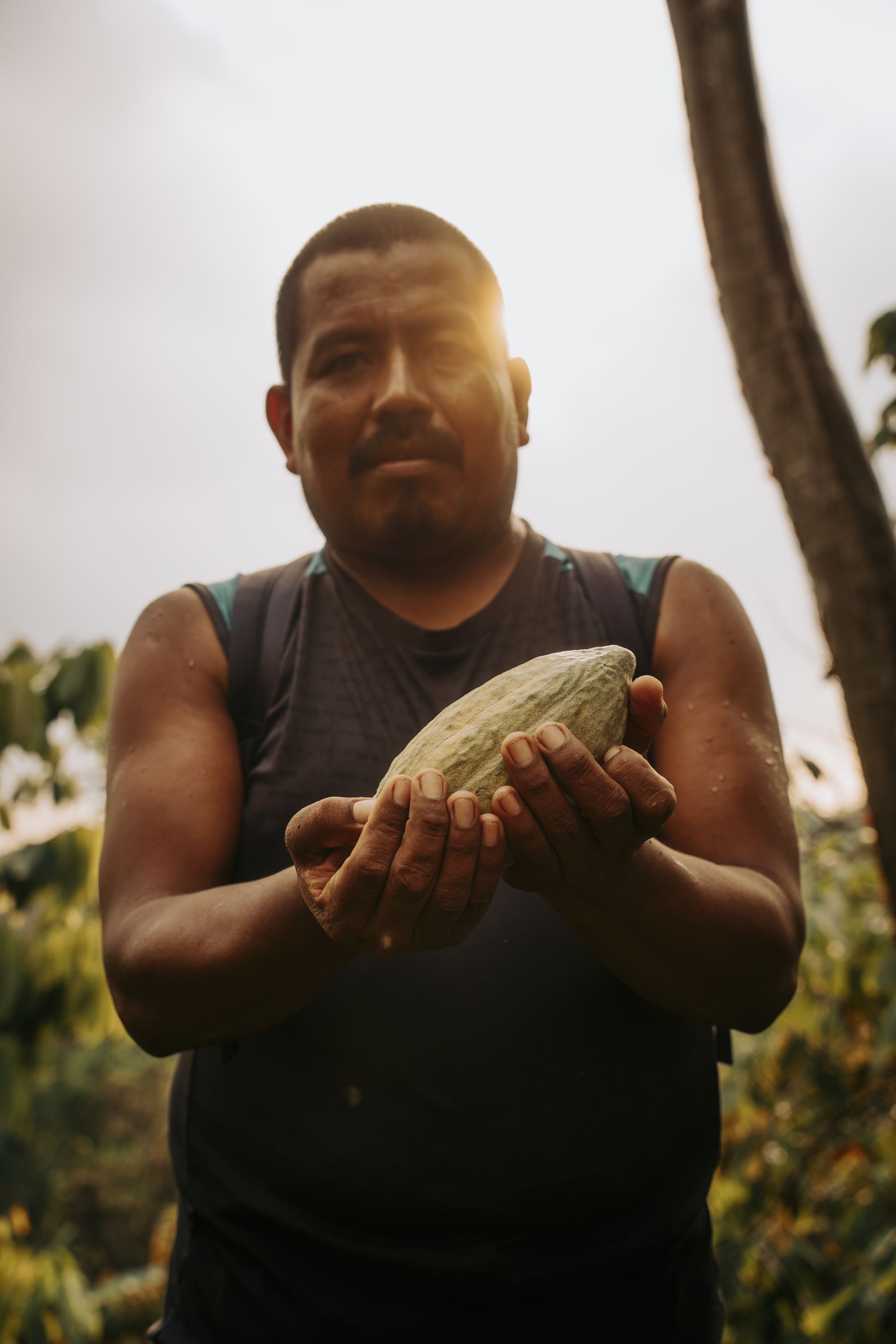 A Mayan farmer holding freshly harvested cacao pods